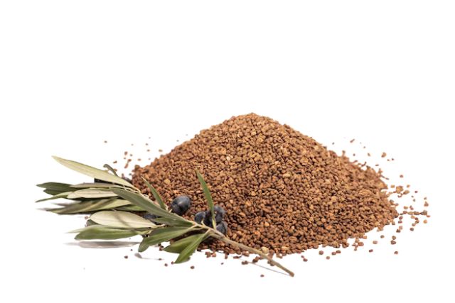 biomasa a partir del olivo